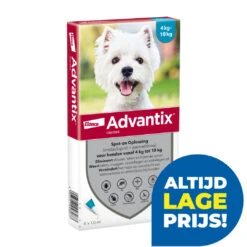 Advantix 100 6 Pipetten