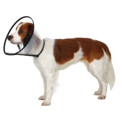 TRIXIE Beschermkraag Kunststof Met Klittenband -Beeztees Winkel 4011905195100 2