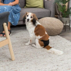 TRIXIE Beschermbroekje Zwart 7 TRIXIE Beschermbroekje Zwart -Beeztees Winkel 4011905234908 3