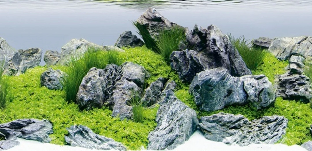 Juwel Achterwand Poster 4 2 Juwel Achterwand Poster 4 - Afbeelding 2