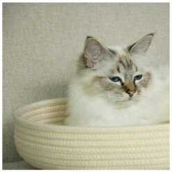 D&D I Love Happy Cats Kattenmand Jess Beige Ø 45 X 7 Cm -Beeztees Winkel 4047059482544 2