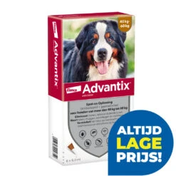 Advantix 600 6 Pipetten