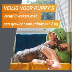 FRONTPRO Kauwtabletten Hond M 3 St -Beeztees Winkel 4064951004230 8