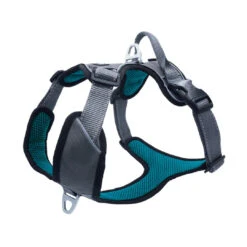 Petlando Hondentuig Outdoor Petrol -Beeztees Winkel 4260358309750