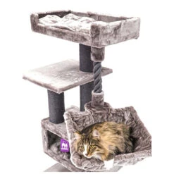 Petrebels Krabmeubel Lucky Bastards Parklane 131 Capp -Beeztees Winkel 431359 2