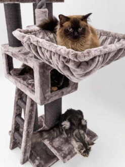 Beeztees Winkel 20 Beeztees Winkel -Beeztees Winkel 431362 Parklane 175 13