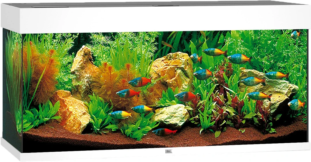 Juwel Aquarium Rio 180 LED Wit 1 Juwel Aquarium Rio 180 LED Wit