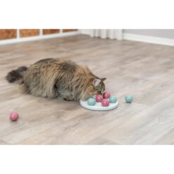 TRIXIE Cat Activity Solitaire -Beeztees Winkel 4594 2