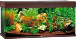 Juwel Aquarium Rio 180 LED Donkerbruin
