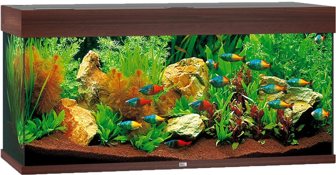 Juwel Aquarium Rio 180 LED Donkerbruin 1 Juwel Aquarium Rio 180 LED Donkerbruin