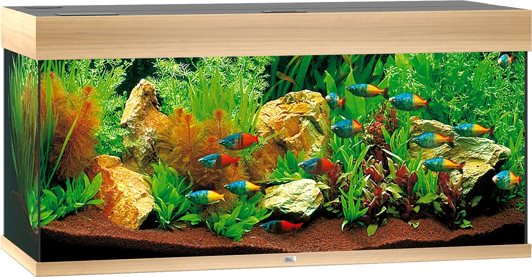 Juwel Aquarium Rio 180 LED Licht Eiken 1 Juwel Aquarium Rio 180 LED Licht Eiken