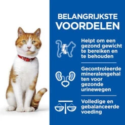 Hill's Science Plan Adult Healthy Cuisine Sterilised 12 X 80 Gr 5 Hill's Science Plan Adult Healthy Cuisine Sterilised 12 X 80 Gr -Beeztees Winkel 52742048307 2