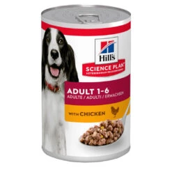 Hill's Science Plan Hill's Adult Chicken 370 Gr