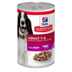 Hill's Science Plan Hill's Adult Beef 370 Gr