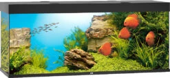 Juwel Aquarium Rio 450 LED Zwart