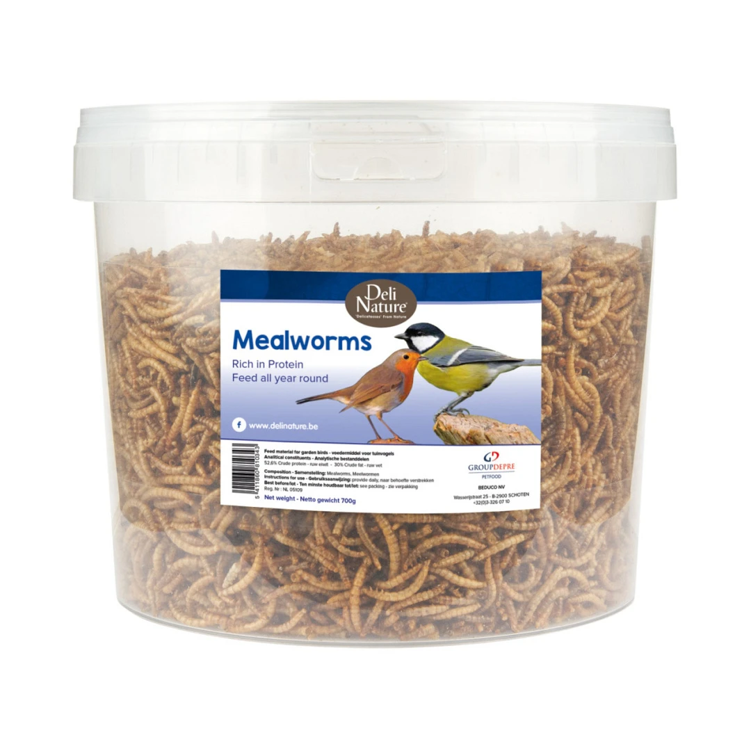 Deli Nature Meelwormen 700 Gr 1 Deli Nature Meelwormen 700 Gr