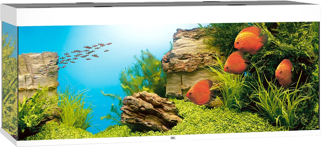 Juwel Aquarium Rio 450 LED Wit 1 Juwel Aquarium Rio 450 LED Wit