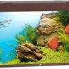 Juwel Aquarium Rio 450 LED Donkerbruin