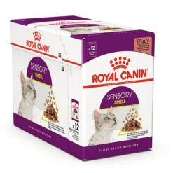 Royal Canin Kattenvoer Sensory Smell In Gravy 12 X 85 Gr