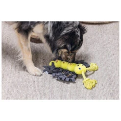 Beeztees Hondenspeelgoed Hide And Seek Vlinder 7 Beeztees Hondenspeelgoed Hide And Seek Vlinder -Beeztees Winkel 619437 3