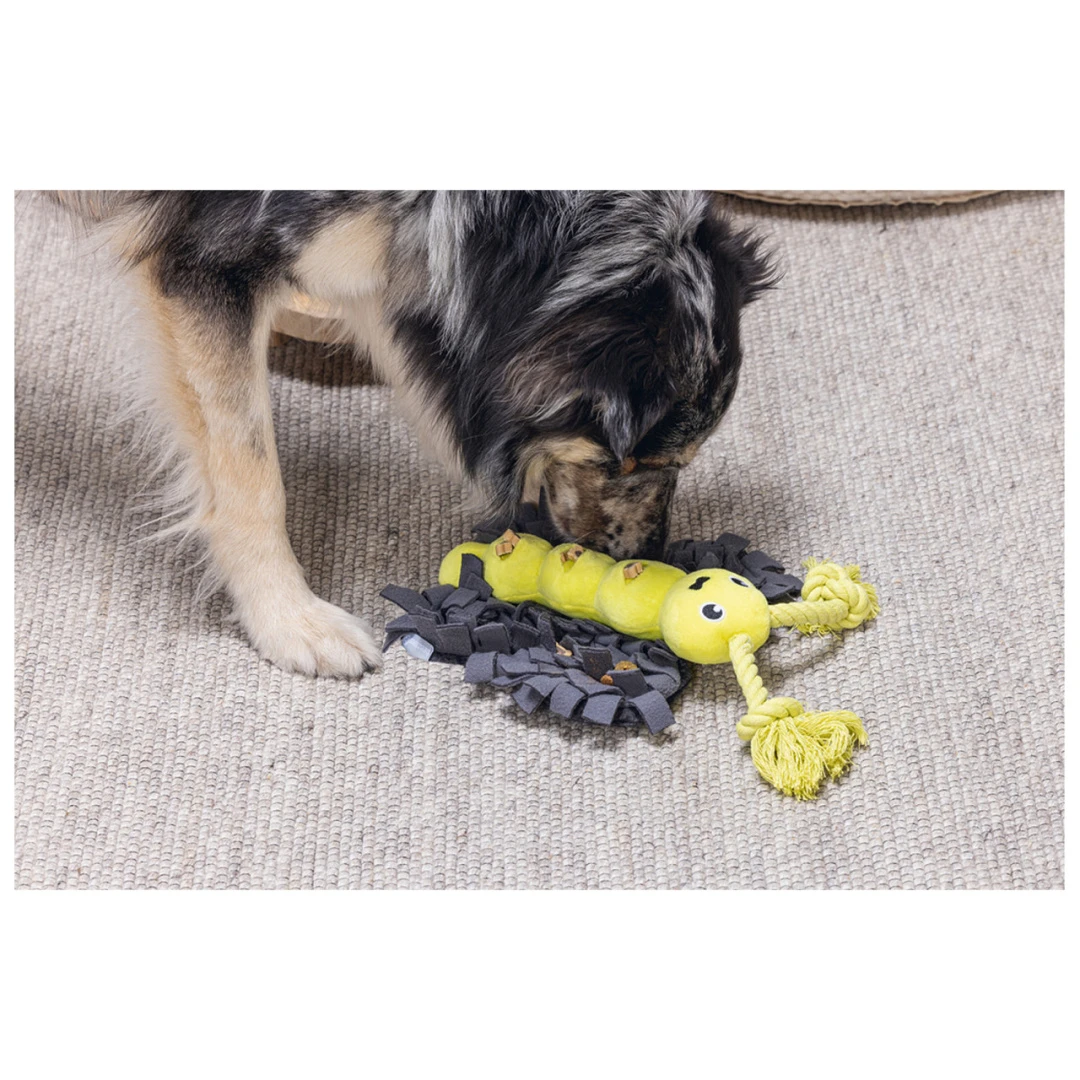 Beeztees Hondenspeelgoed Hide And Seek Vlinder 4 Beeztees Hondenspeelgoed Hide And Seek Vlinder - Afbeelding 4