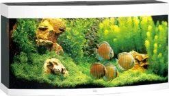 Juwel Aquarium Vision 260 LED Wit