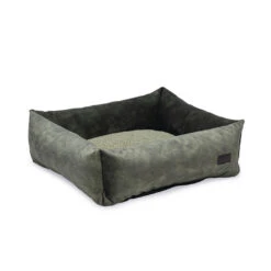 Designed By Lotte Hondenmand Yndis Groen