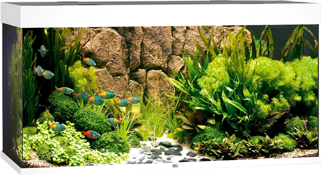 Juwel Aquarium Rio 350 LED Wit 1 Juwel Aquarium Rio 350 LED Wit