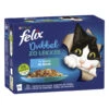 Felix Dubbel Zo Lekker Vis Selectie In Gelei 12 X 85 Gr