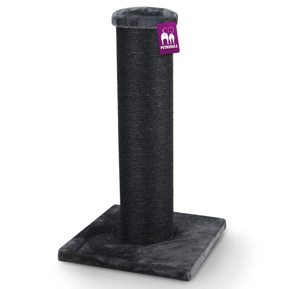 Petrebels Krabpaal The Rebels Savannah 86 Rebel Pepper 1 Petrebels Krabpaal The Rebels Savannah 86 Rebel Pepper