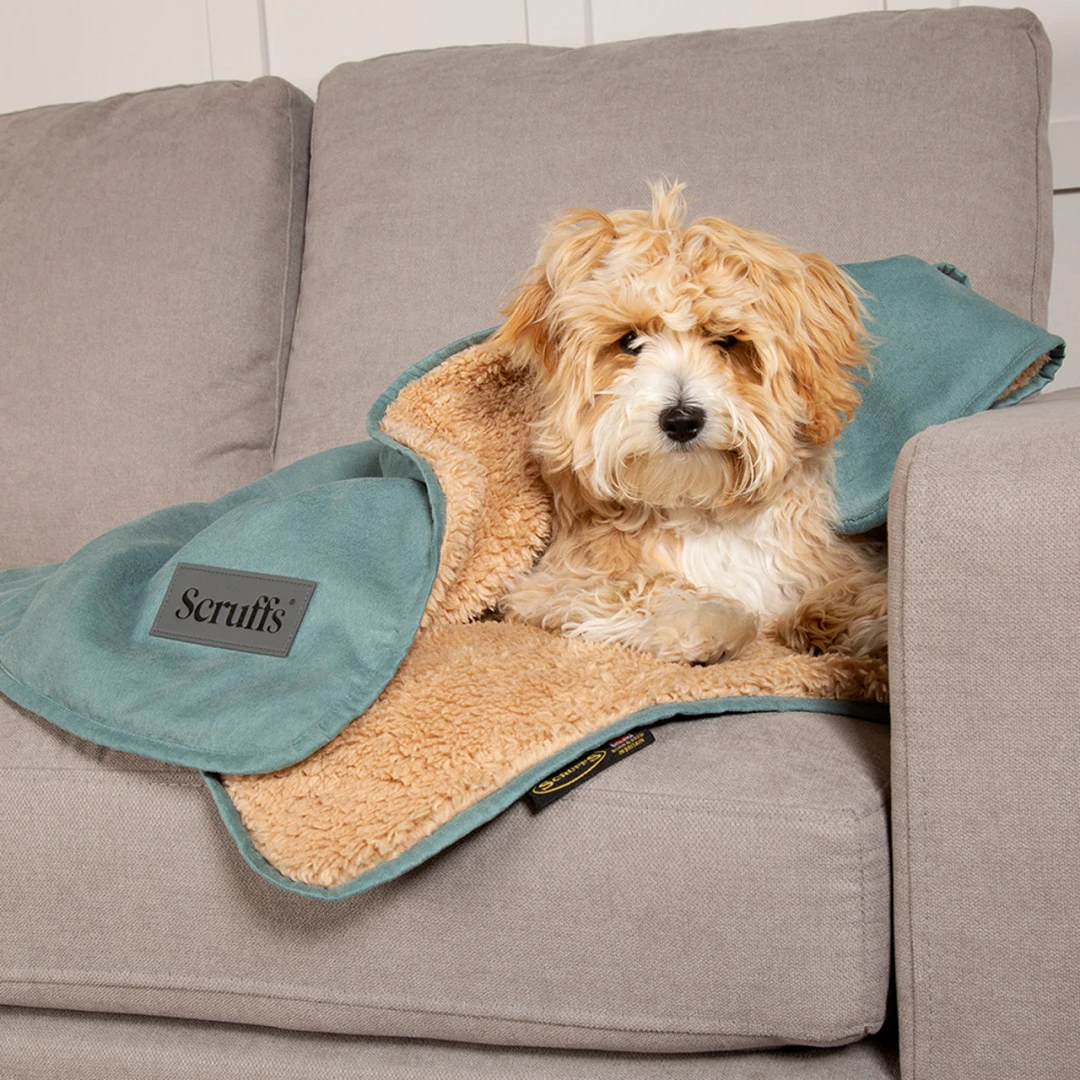 Scruffs Cosy Blanket Sage Green 3 Scruffs Cosy Blanket Sage Green - Afbeelding 3