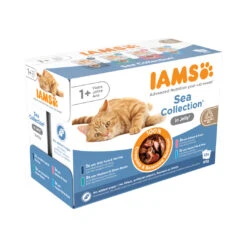 IAMS Delights Sea Collection In Jelly 12 X 85 Gr