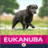 Eukanuba Hondenvoer Senior L/XL Chicken 12 Kg