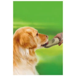 Boon Drinkfles Travel Met Draagkoord 450 Ml -Beeztees Winkel 8712901083663 2