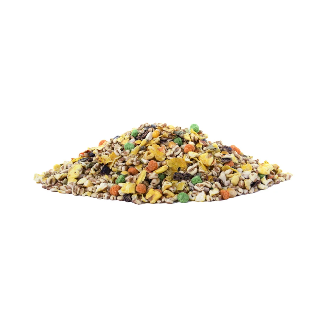 Knaagdiervoer Zonder Biks 2,5 Kg 2 Knaagdiervoer Zonder Biks 2,5 Kg - Afbeelding 2