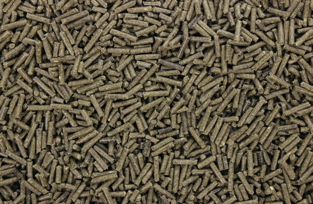 Chinchillakorrels 1 Kg 2 Chinchillakorrels 1 Kg - Afbeelding 2