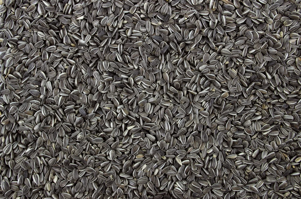 Zonnepitten Gestreept 600 Gr 2 Zonnepitten Gestreept 600 Gr - Afbeelding 2