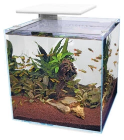 SuperFish Aquarium Qubiq 60 Pro Wit