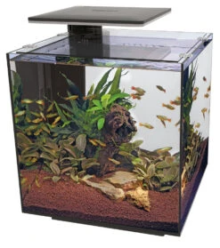 SuperFish Aquarium Qubiq 60 Pro Zwart