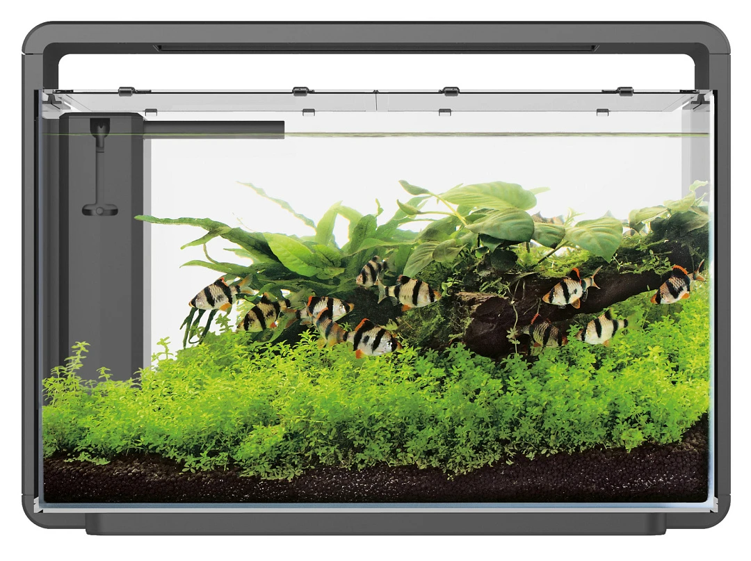 SuperFish Aquarium Home 65 Zwart 1 SuperFish Aquarium Home 65 Zwart