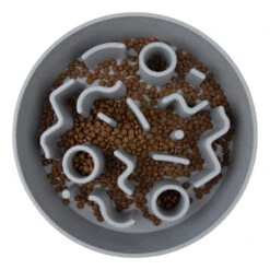 District 70 Slow Feeder Ice Blue -Beeztees Winkel 8717202616008 2