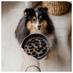 District 70 Slow Feeder Dark Grey -Beeztees Winkel 8717202618101 1