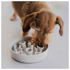 District 70 Slow Feeder Merengue -Beeztees Winkel 8717202618118 2