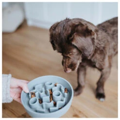 District 70 Slow Feeder Ice Blue -Beeztees Winkel 8717202618125 2