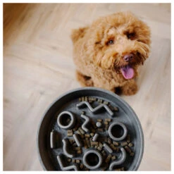 District 70 Slow Feeder Grey -Beeztees Winkel 8717202618132 1