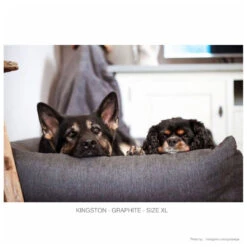 SnObbs Orthopedische Hondenmand Kingston Graphite -Beeztees Winkel 8718531868908 2