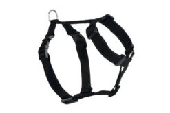 Beeztees Wandel- En Autotuig Zwart -Beeztees Winkel 8806