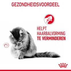 Royal Canin Kattenvoer Hairball Care In Gravy 12 X 85 Gr 7 Royal Canin Kattenvoer Hairball Care In Gravy 12 X 85 Gr -Beeztees Winkel 9003579000403 NL 8