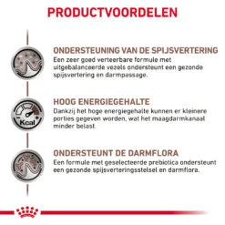 Royal Canin Kattenvoer GastroIntestinal 12 X 85 Gr 6 Royal Canin Kattenvoer GastroIntestinal 12 X 85 Gr -Beeztees Winkel 9003579013557 NL 4