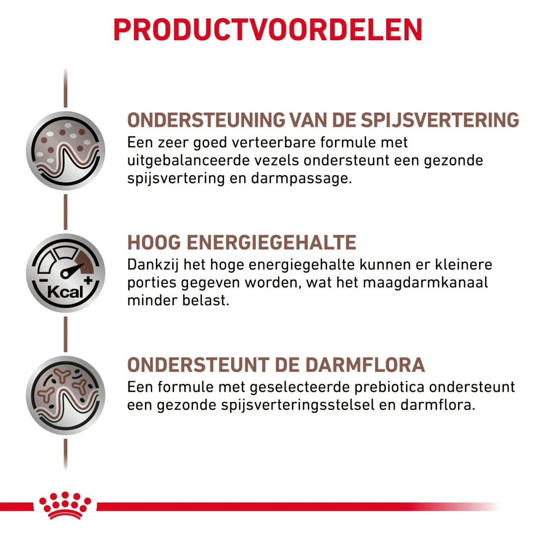 Royal Canin Kattenvoer GastroIntestinal 12 X 85 Gr 3 Royal Canin Kattenvoer GastroIntestinal 12 X 85 Gr - Afbeelding 3